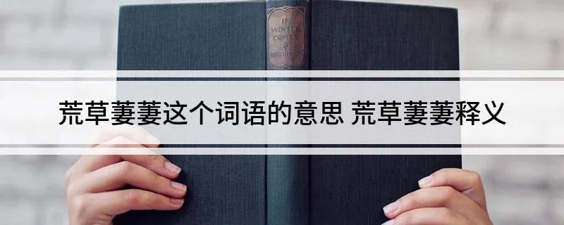 荒草萋萋这个词语的意思 荒草萋萋释义