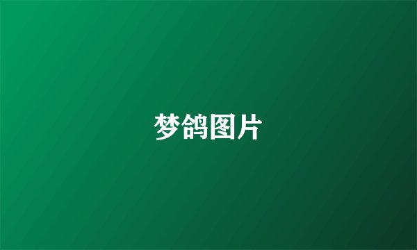 梦鸽图片