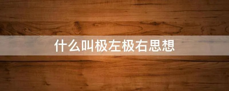 什么叫极左极右思想
