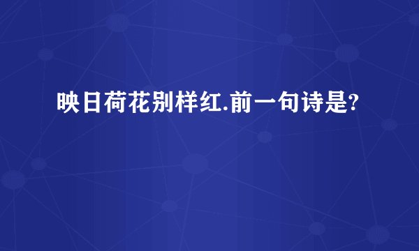 映日荷花别样红.前一句诗是?