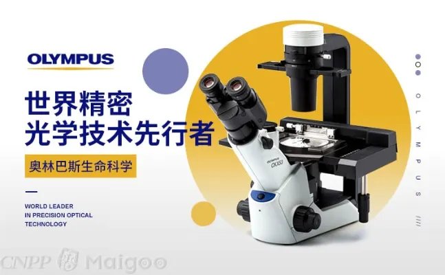 奥林巴斯是哪个国家的,OLYMPUS是什么牌子