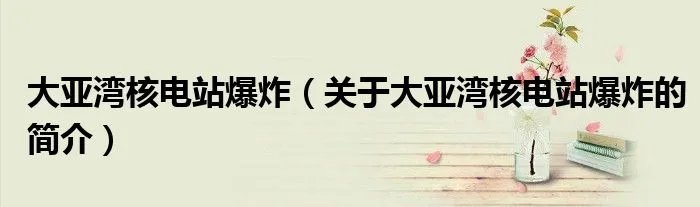 大亚湾核电站爆炸（关于大亚湾核电站爆炸的简介）