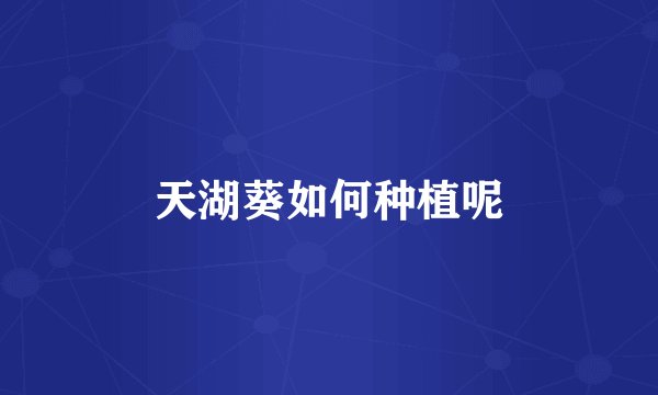 天湖葵如何种植呢