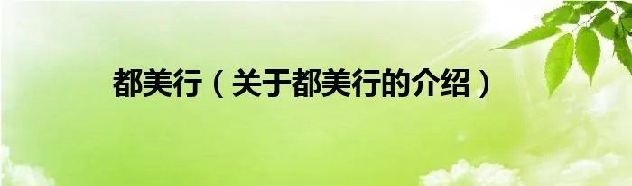 都美行（关于都美行的介绍）