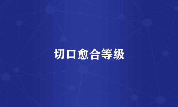 切口愈合等级