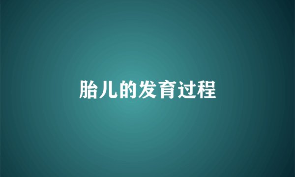 胎儿的发育过程