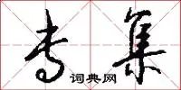 专集