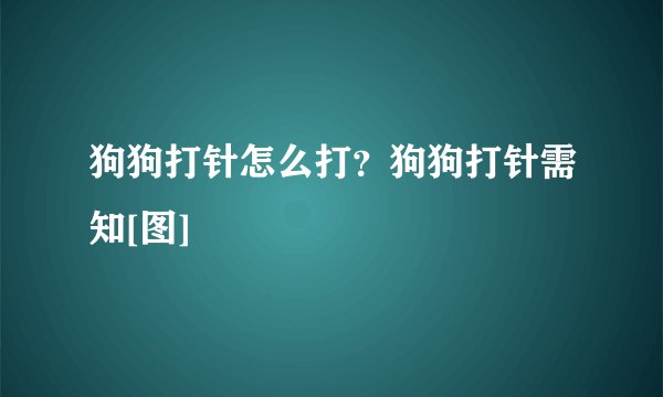 狗狗打针怎么打？狗狗打针需知[图]
