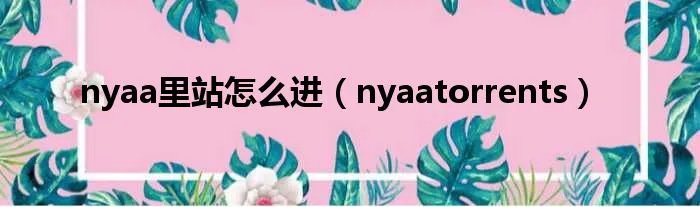 nyaa里站怎么进（nyaatorrents）