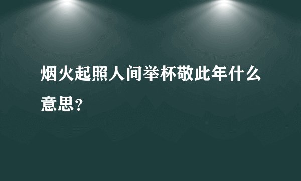 烟火起照人间举杯敬此年什么意思？