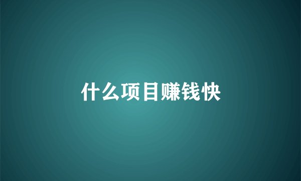 什么项目赚钱快