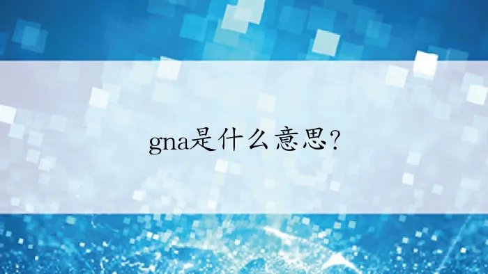 gna是什么意思?