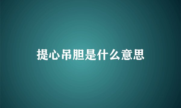 提心吊胆是什么意思