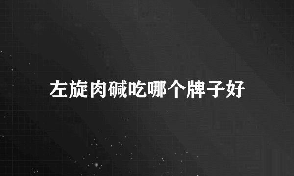 左旋肉碱吃哪个牌子好