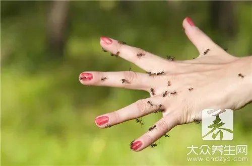  怎样消灭蚂蚁