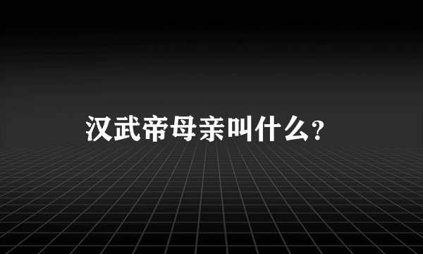 汉武帝母亲叫什么？