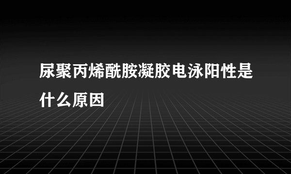 尿聚丙烯酰胺凝胶电泳阳性是什么原因