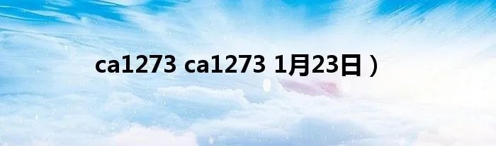 ca1273 ca1273 1月23日）