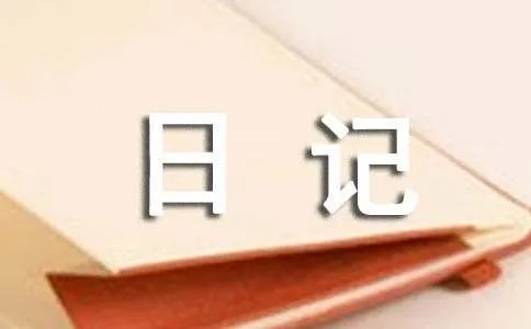 未来日记