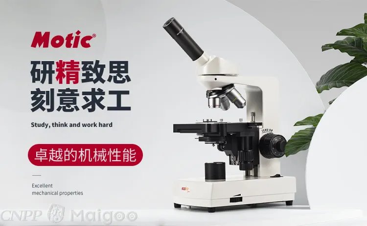 奥林巴斯是哪个国家的,OLYMPUS是什么牌子