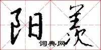 阳羡