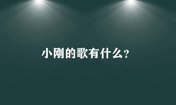 小刚的歌有什么？