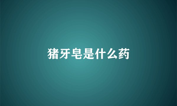 猪牙皂是什么药