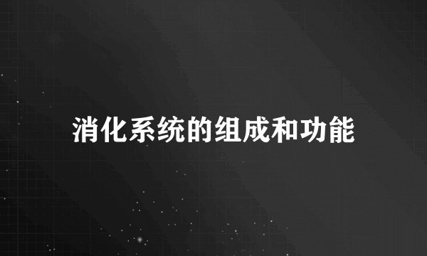 消化系统的组成和功能
