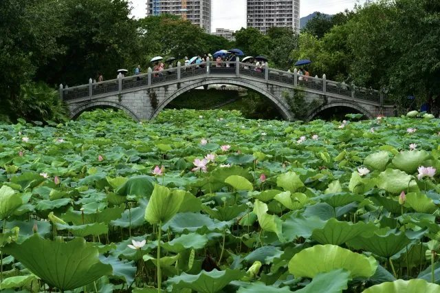 深圳十大钓鱼的地方 深圳野钓地点有哪些 水库钓鱼哪里好