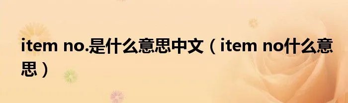 item no.是什么意思中文（item no什么意思）