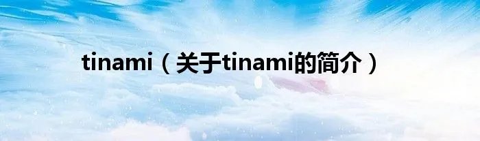 tinami（关于tinami的简介）