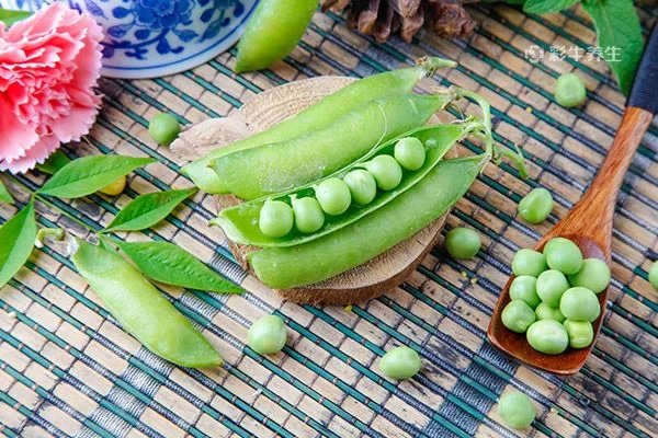 青豆的营养价值及功效