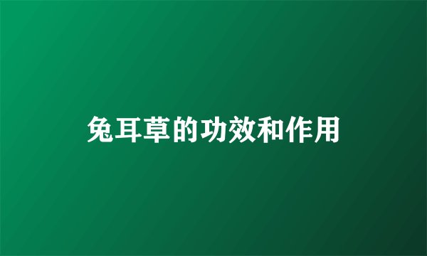 兔耳草的功效和作用