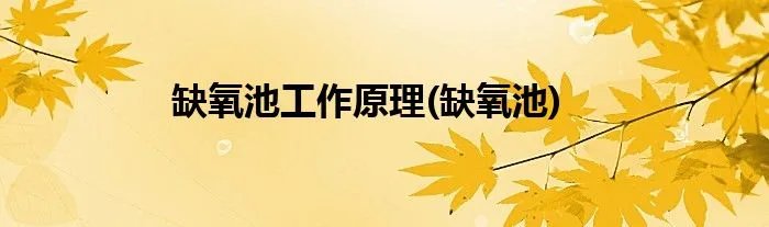 缺氧池工作原理(缺氧池)