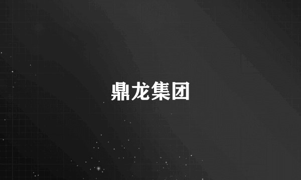 鼎龙集团