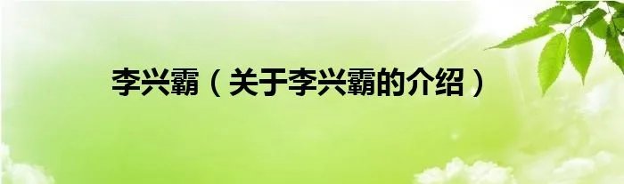 李兴霸（关于李兴霸的介绍）