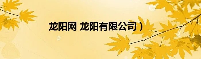 龙阳网 龙阳有限公司）