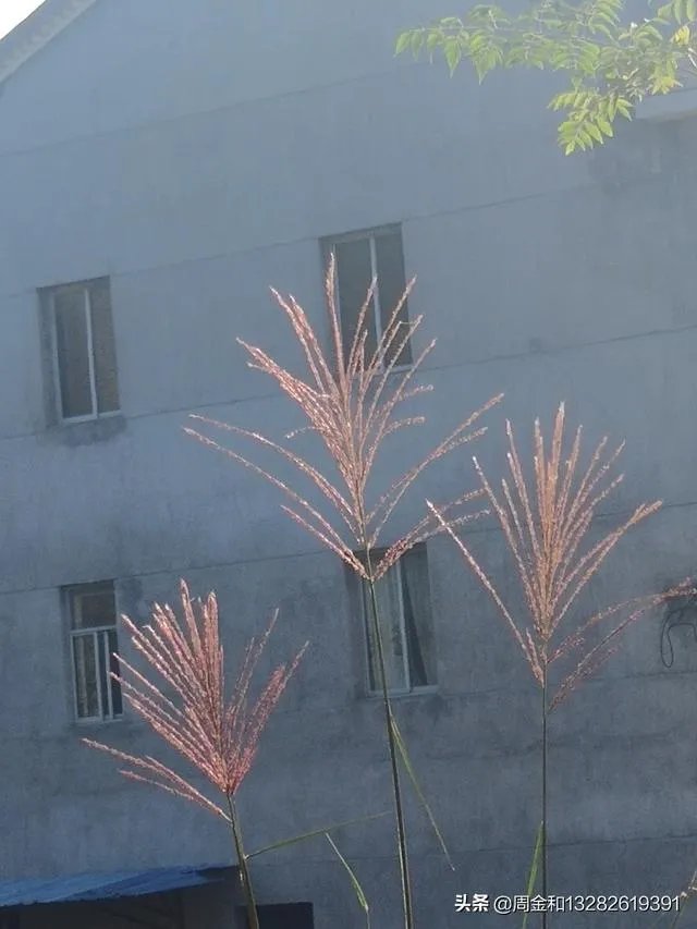如何二次爆光