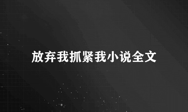 放弃我抓紧我小说全文