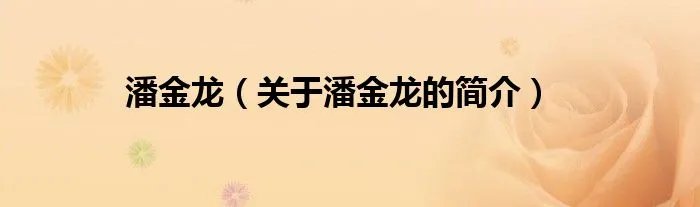 潘金龙（关于潘金龙的简介）