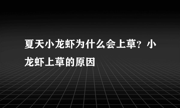 夏天小龙虾为什么会上草？小龙虾上草的原因