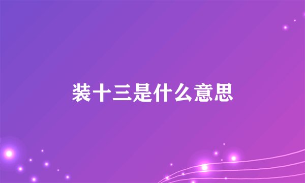 装十三是什么意思