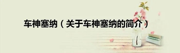车神塞纳（关于车神塞纳的简介）
