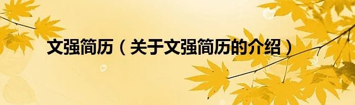文强简历（关于文强简历的介绍）