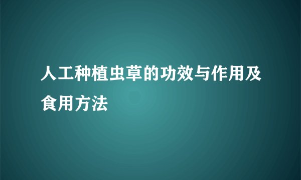 人工种植虫草的功效与作用及食用方法
