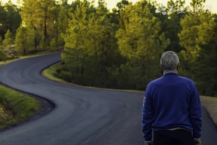中国十大羊奶粉排名