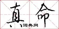 真命