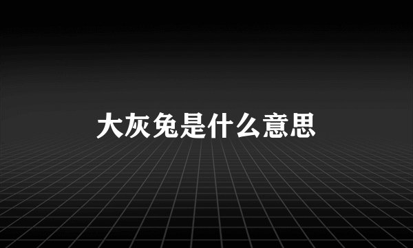 大灰兔是什么意思