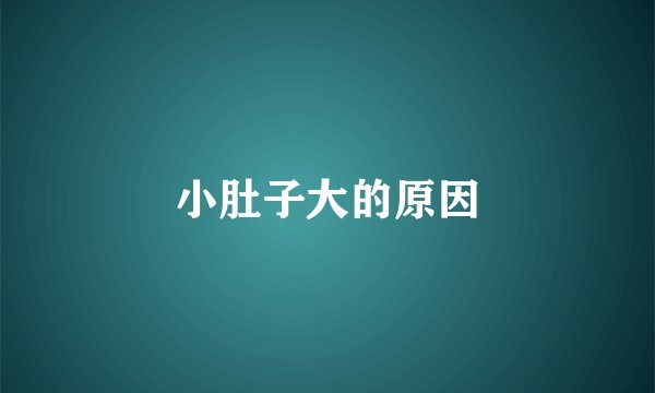 小肚子大的原因