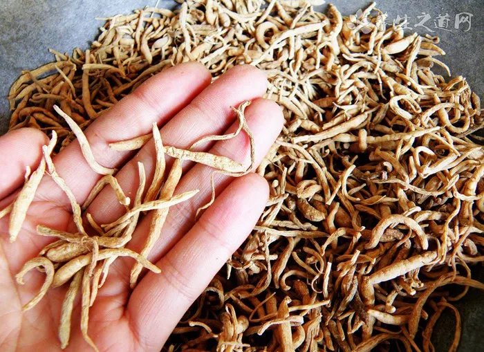 犯太岁如何化解?犯太岁化解法汇总